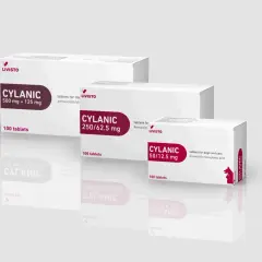 Opakowania leku CYLANIC dla psa i kota, różne moce: 500 mg + 125 mg, 250/62.5 mg, 50/12.5 mg.