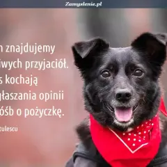 Czarny pies w czerwonej bandanie, z tekstem o psach i przyjaźni. Piękne cytaty o psach.