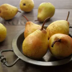 Gruszki na talerzu. Czy pies może jeść gruszkę? Tak, ale bez pestek i ogonka.