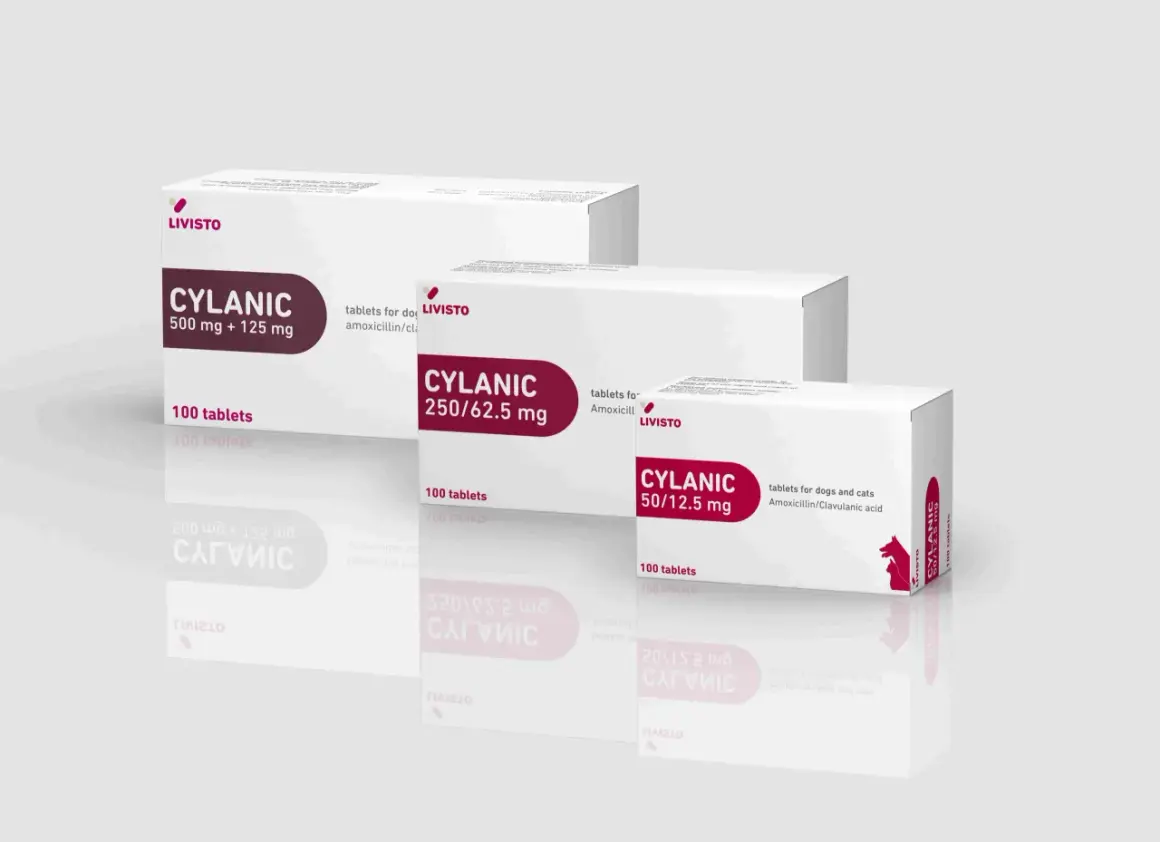 Opakowania leku CYLANIC dla psa i kota, różne moce: 500 mg + 125 mg, 250/62.5 mg, 50/12.5 mg.