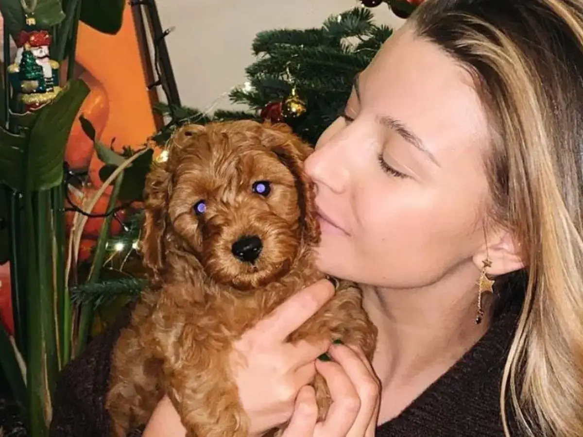 Julia Wieniawa tuli swojego rudego, kudłatego pieska na tle świątecznej choinki.