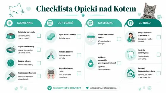 Starszy kot - Jak dbać? Poradnik dla opiekunów